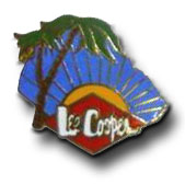 lee-cooper-palmiers-bleu.jpg