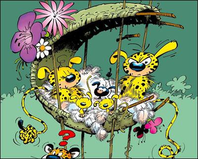 Marsupilami nid 1