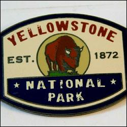 Yellowstone buffalo 3 250
